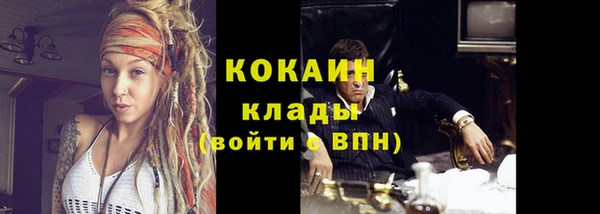 прущие грибы Заволжье