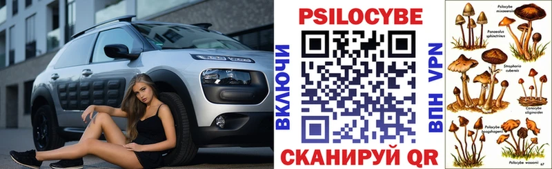 Купить закладки  Ревда  Псилоцибиновые грибы мицелий 